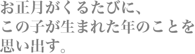 お正月がくるたびに、この子が生まれた年のことを思い出す。